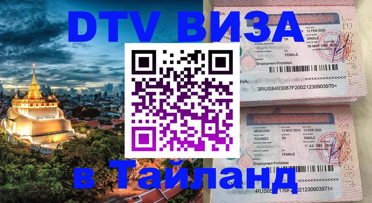 Оформление DTV визы под ключ: стоимость и тарифы, только загранпаспорт - 